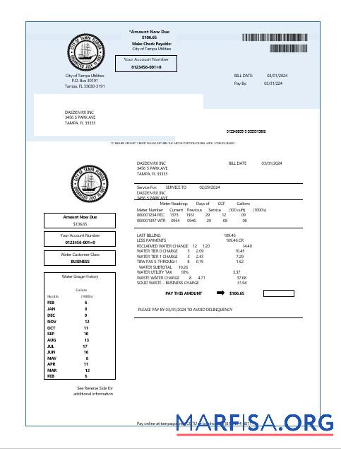 Downloadable USA Florida water business utility bill template in Word and PDF formats